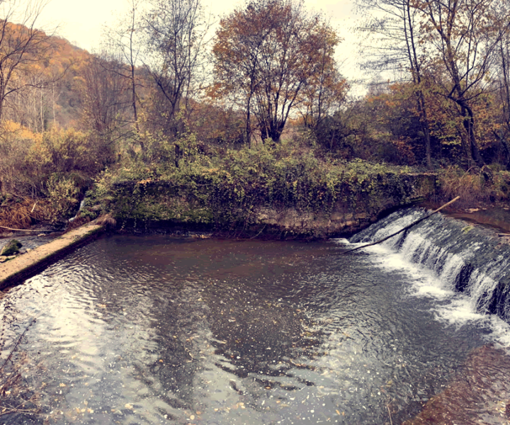 gebze-kamp-alani-3